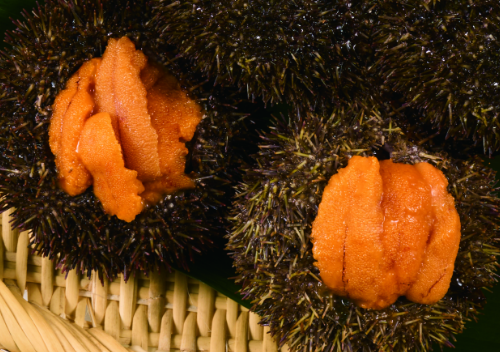 return-gifts-thumbnail-image