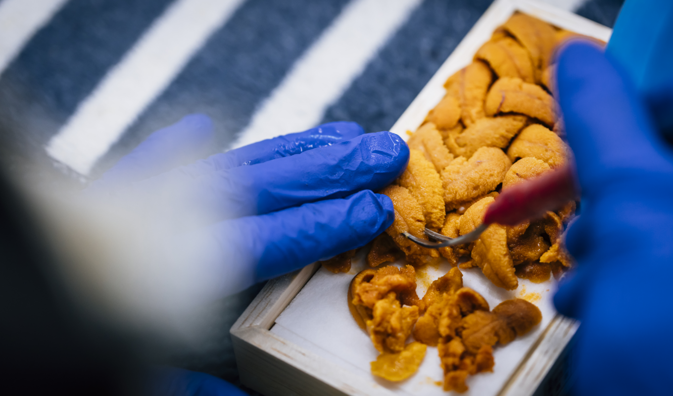 spots-thumbnail-image